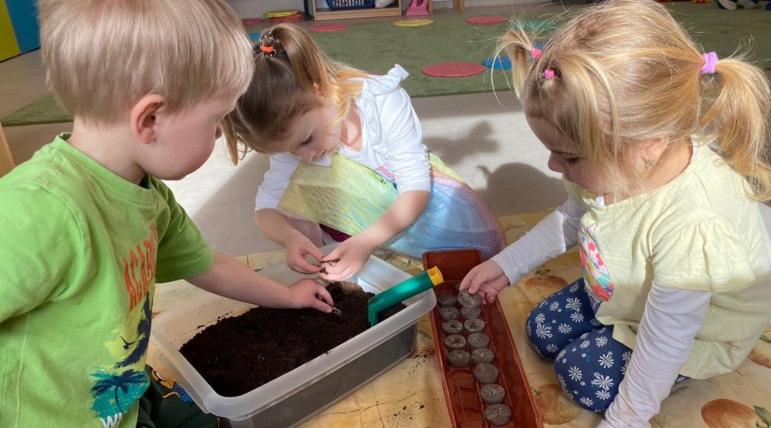 Jaro v Modré třídě