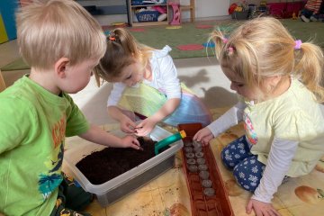 Jaro v Modré třídě