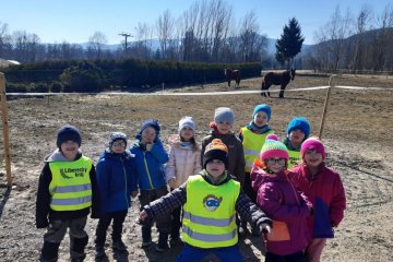 Zvířátka a jejich mláďátka