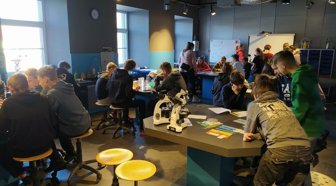 Sedmička v IQLandii