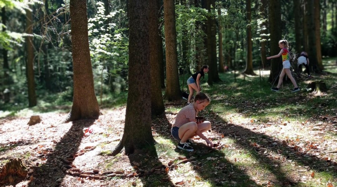 Lesní mandaly - 5. třída