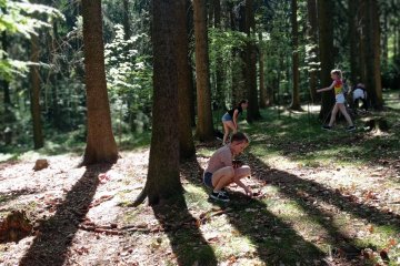 Lesní mandaly - 5. třída