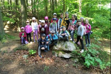 Učení venku - stromy