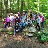 Učení venku - stromy