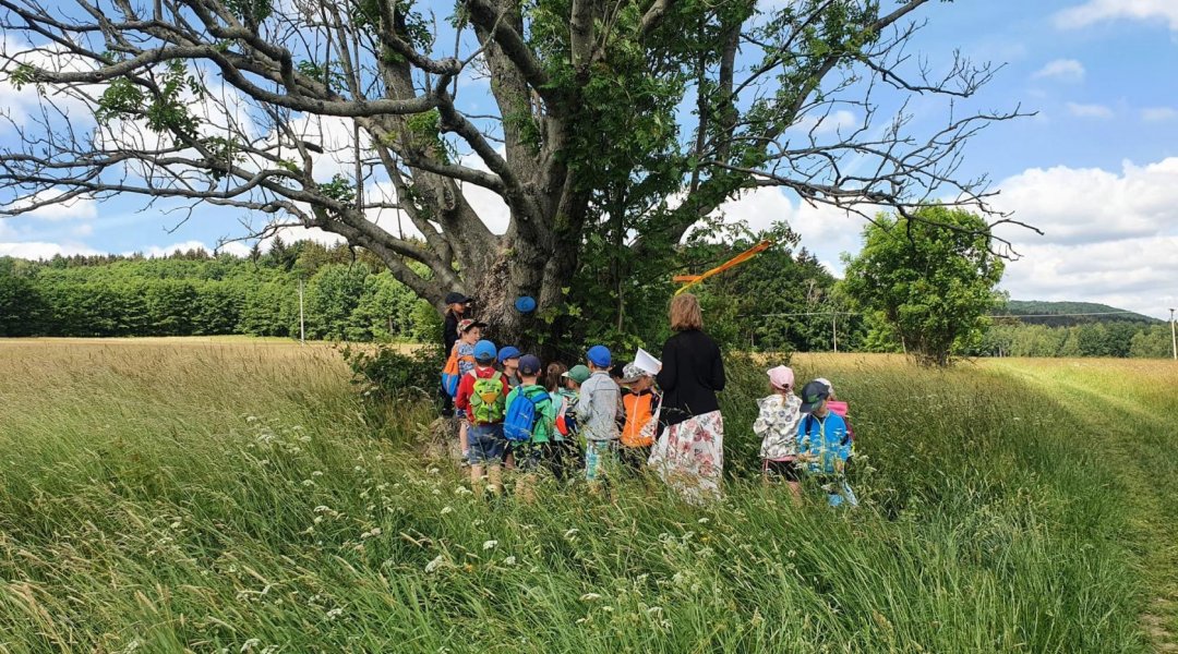 Stezka "Sněhurka a sedm trpaslíků"