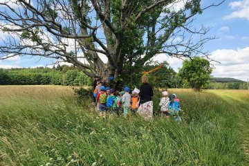 Stezka "Sněhurka a sedm trpaslíků"