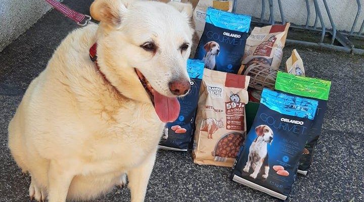 Páťáci pomáhají útulku