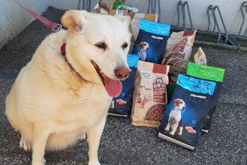 Páťáci pomáhají útulku