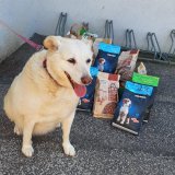 Páťáci pomáhají útulku