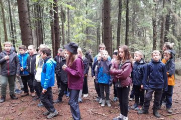 Harmonizační pobyt