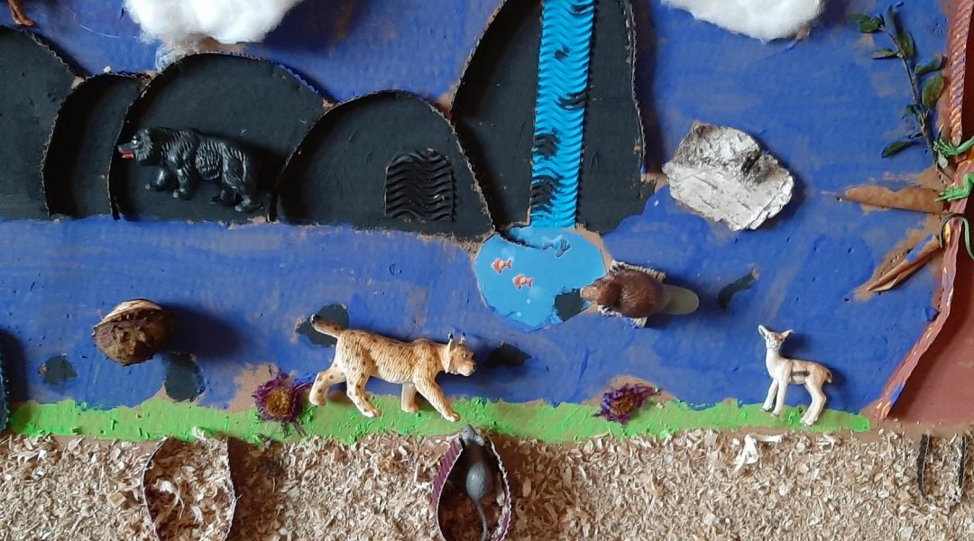 Pracovní výchova - přírodověda