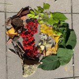 Výtvarná výchova venku