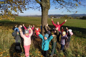 Pouštění draků a oslava Dne stromů