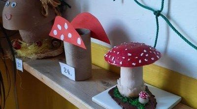 Houby a houbičky