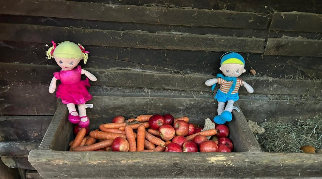 Procházka ke krmelci