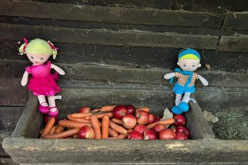 Procházka ke krmelci