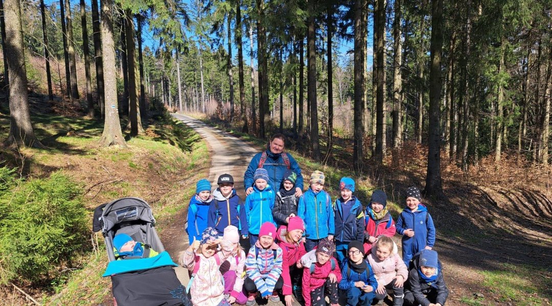 Procházka okolními lesy