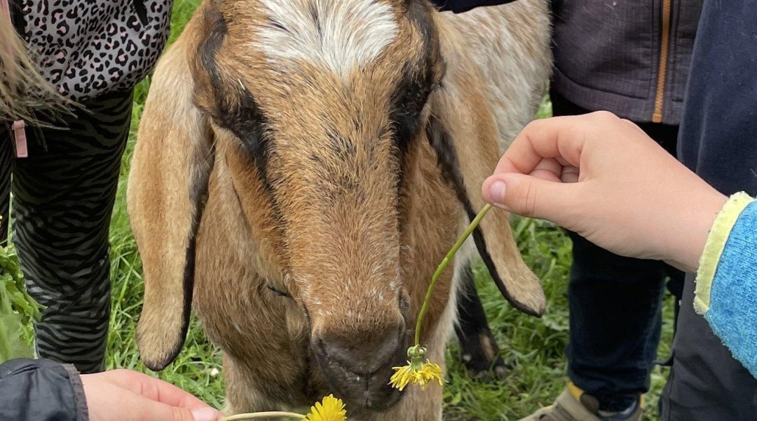 Ekocentrum Sedmihorky - vlnění