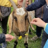 Ekocentrum Sedmihorky - vlnění