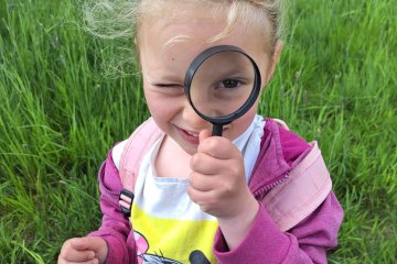 Tématická procházka do lesa - poznáváme hmyzí říši