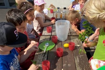 Výroba domácí citrónovo-mátové limonády