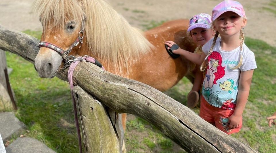 Školní výlet za koníky do Hrádku nad Nisou