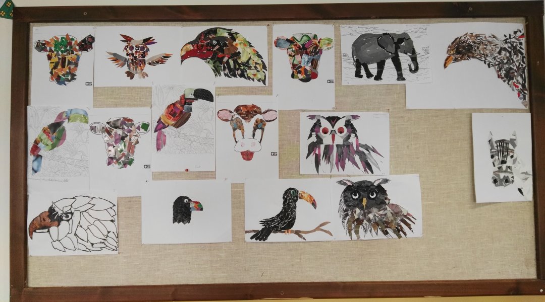 Koláže - zvířata v barvách