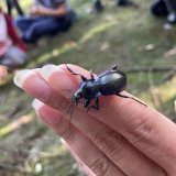 Přírodověda - učení venku