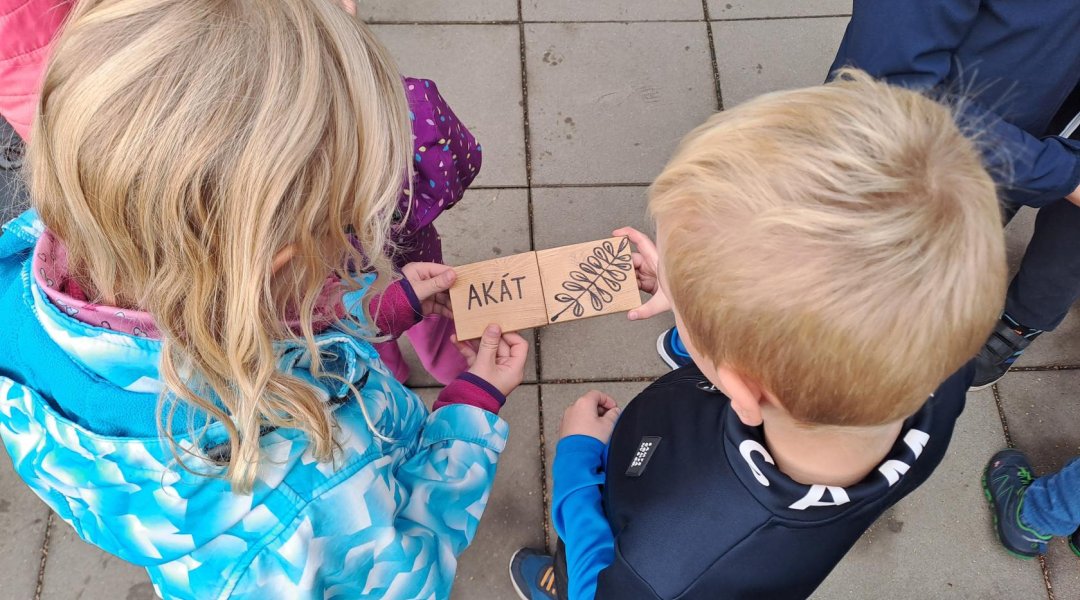 Učení venku – druhy dřevin