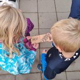 Učení venku – druhy dřevin