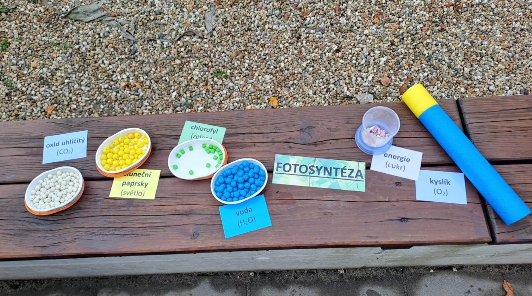 Učení venku – fotosyntéza, potravní řetězec