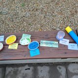 Učení venku – fotosyntéza, potravní řetězec