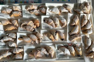 Pečení svatomartinských rohlíčků