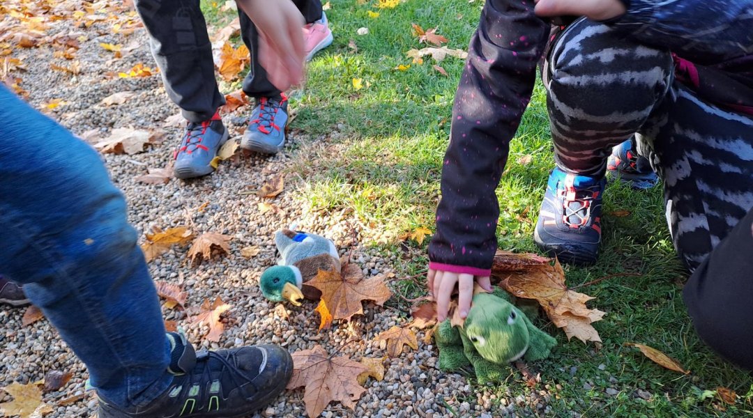 Učení venku 1. 11. 2023 - příprava zvířat na zimu