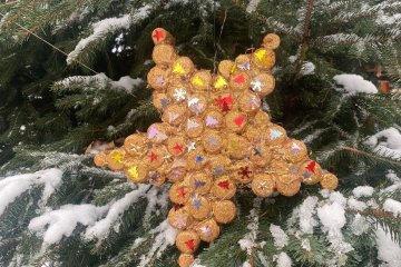 Odvoz ozdoby na Liberecký vánoční stromeček