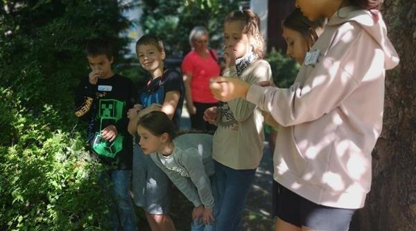 Divizna - barevný svět zvířat