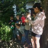 Divizna - barevný svět zvířat