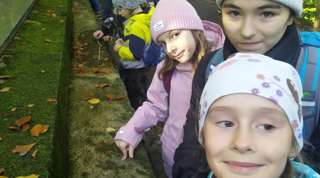 Divizna - 7 divů ZOO