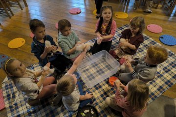 Střevlik - Vlnohrátky