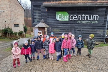 Střevlik - Ptáčci kolem nás