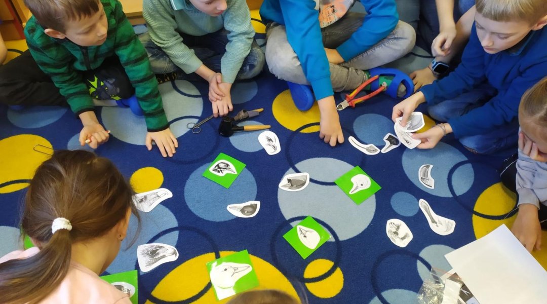 Sovy, dravci; zobáky; a spousty zajímavostí ze světa zvířat (14. 2. 2024)