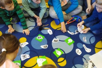 Sovy, dravci; zobáky; a spousty zajímavostí ze světa zvířat (14. 2. 2024)