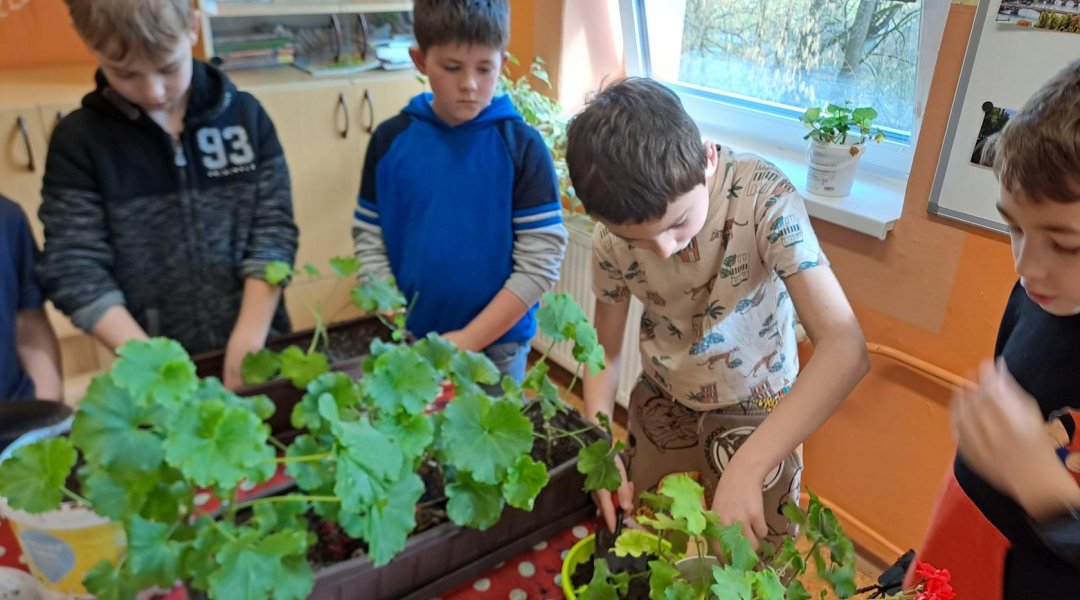 Není řízek jako řízek