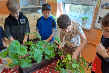 Není řízek jako řízek