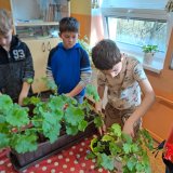 Není řízek jako řízek