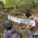 Vlaštovky kam se podíváš