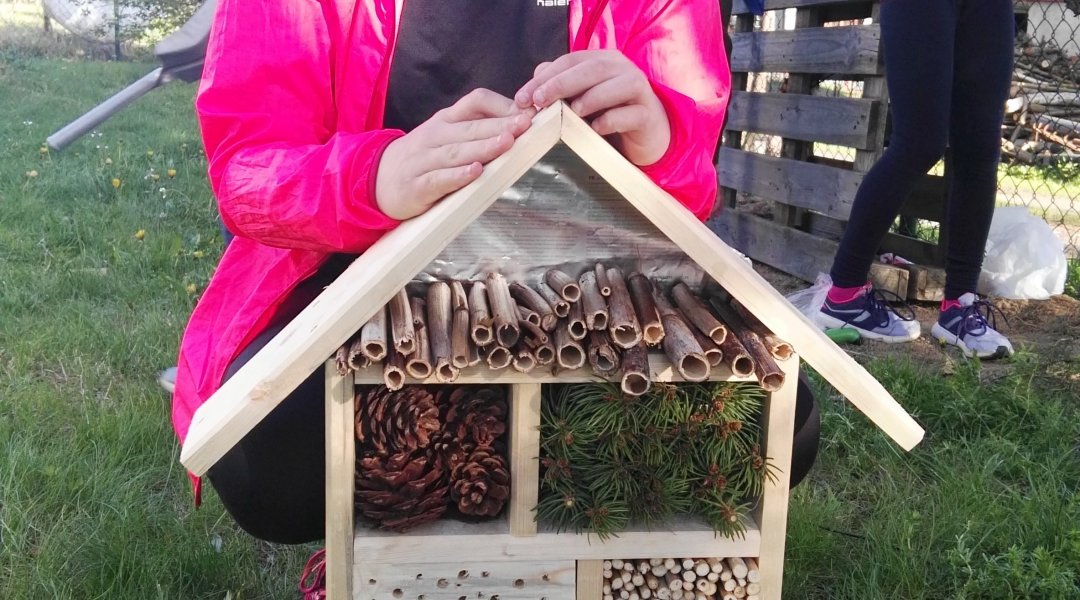 Vyrábíme hmyzí hotely