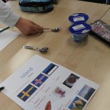 Island - prezentace formou skupinových úkolů