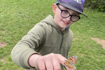 Motýlí dobrodružství ve třídě – Babočka bodláková v hlavní roli