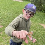 Motýlí dobrodružství ve třídě – Babočka bodláková v hlavní roli